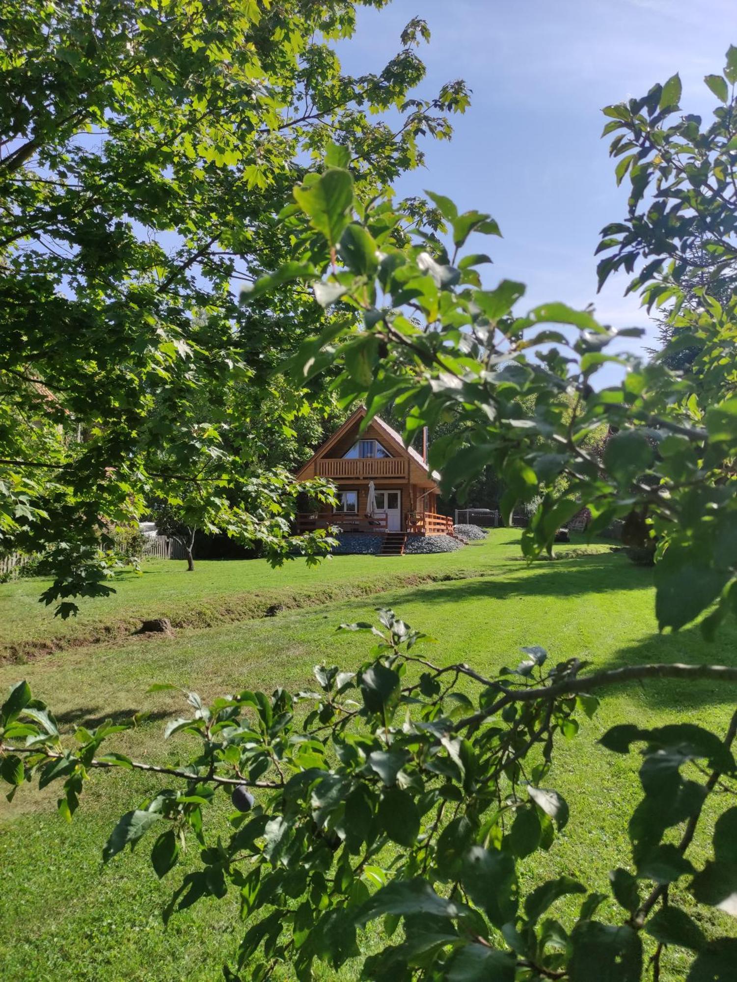 Ferienhaus Birkholz Harz Ilsenburg  Exterior foto